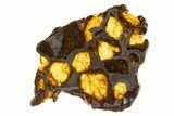 Polished Imilac Pallasite Meteorite ( g) Slice #334651-1